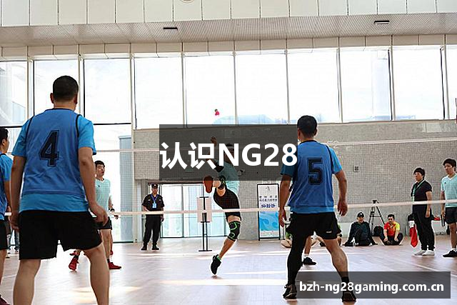 认识NG28